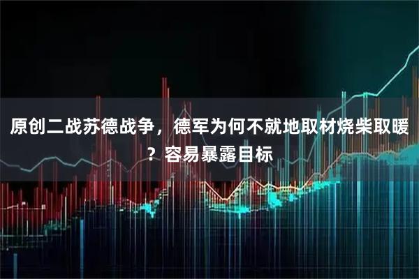 原创二战苏德战争，德军为何不就地取材烧柴取暖？容易暴露目标