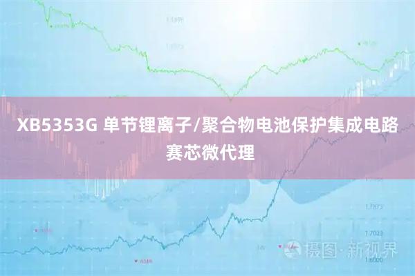 XB5353G 单节锂离子/聚合物电池保护集成电路 赛芯微代理