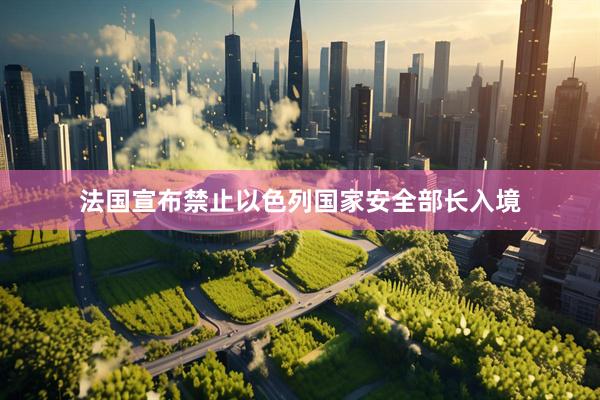 法国宣布禁止以色列国家安全部长入境