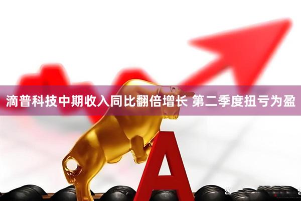 滴普科技中期收入同比翻倍增长 第二季度扭亏为盈